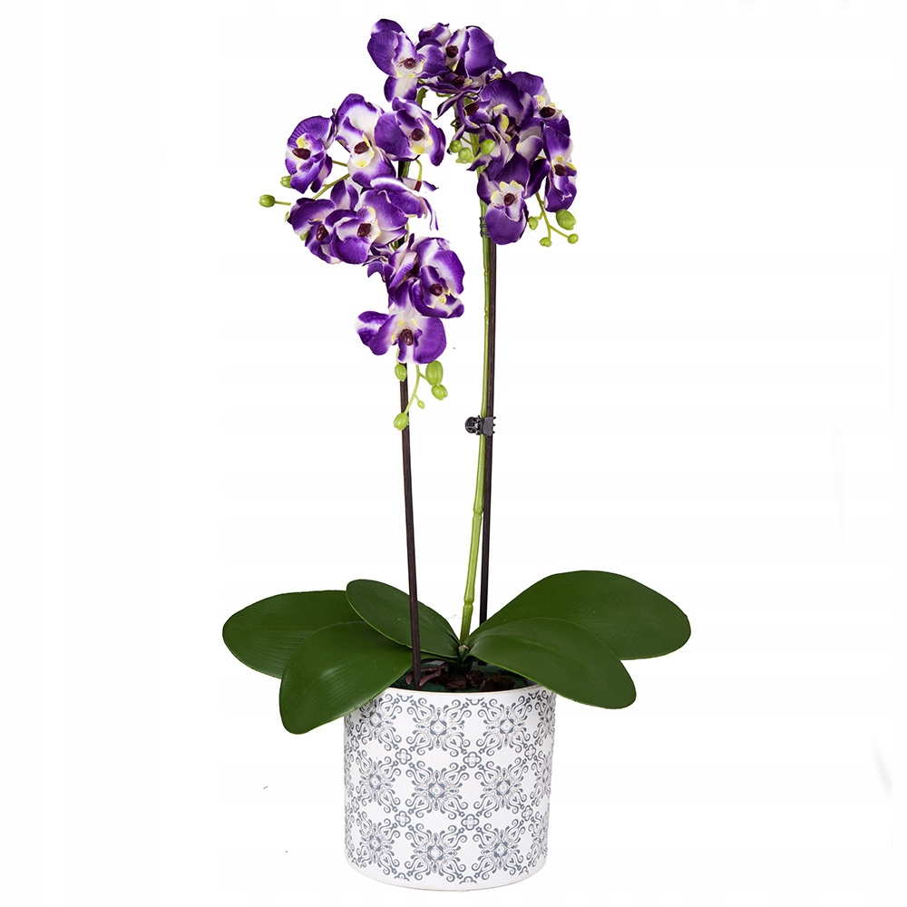 Купить Галазка Искусственная орхидея как настоящая орхидея 78см: отзывы, фото, характеристики в интерне-магазине Aredi.ru