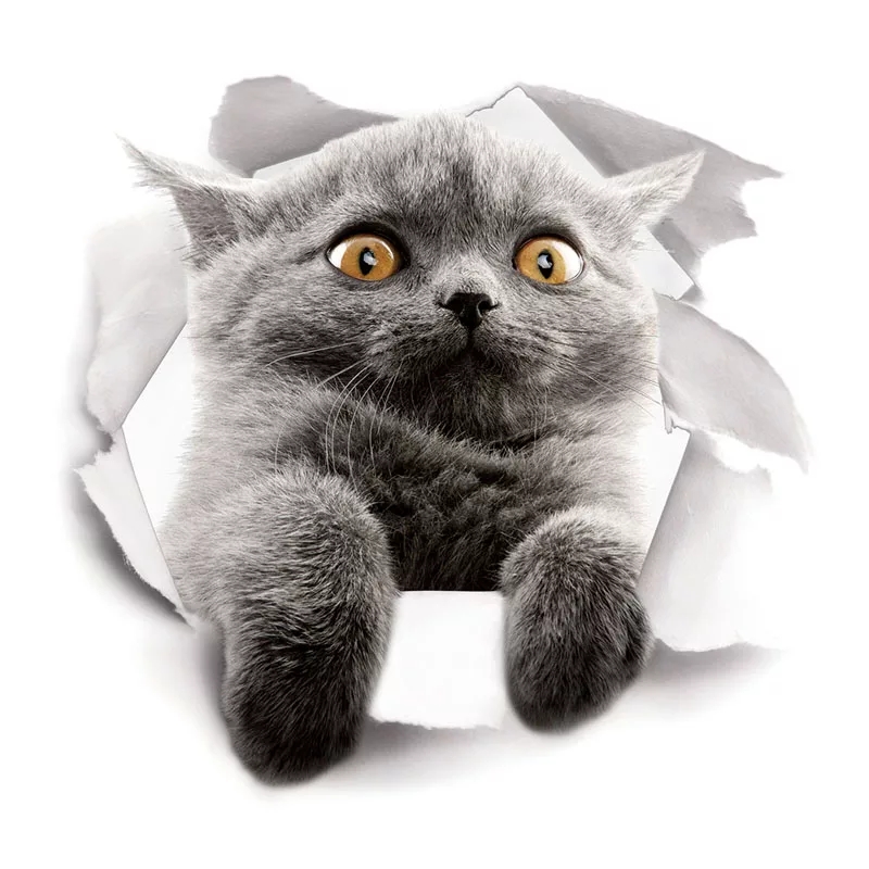 Fototapeta 3D kot kotki do kuchni łazienki rozm S 7495483255