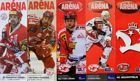 Купить Хоккей ХК Славия Прага 2001-2010 (6 шт.): отзывы, фото, характеристики в интерне-магазине Aredi.ru