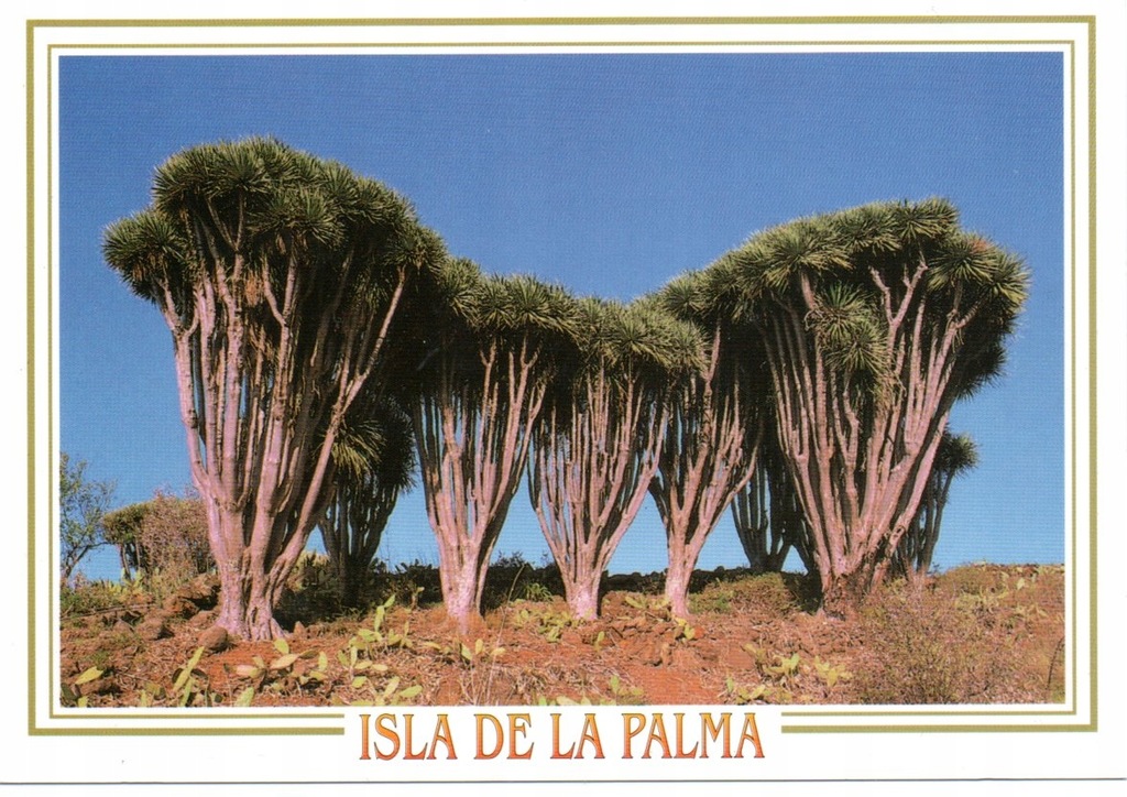 Wyspy Kanaryjskie La Palma