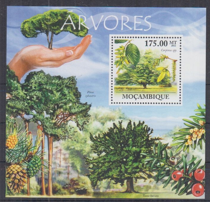 D81. Mozambik MNH 2011 Flora - Drzewa - Las