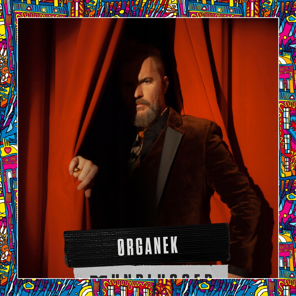 Tomasz Organek: Gitara z albumu "Organek MTV Unplugged"