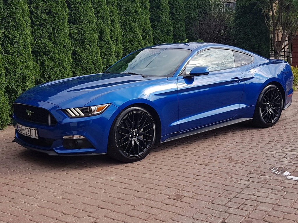 Ford MUSTANG 3,7 V6 8101339046 oficjalne archiwum Allegro