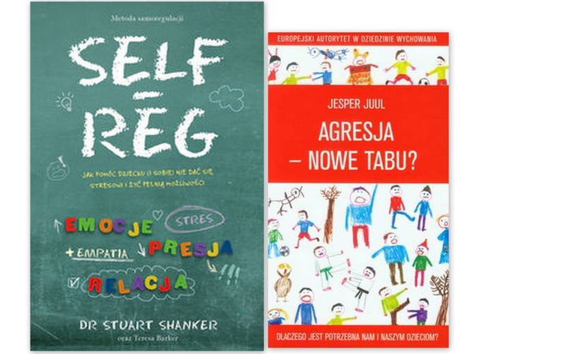 Self Reg Wychowanie Dziecka Agresja Nowe Tabu 7490655249 Oficjalne Archiwum Allegro