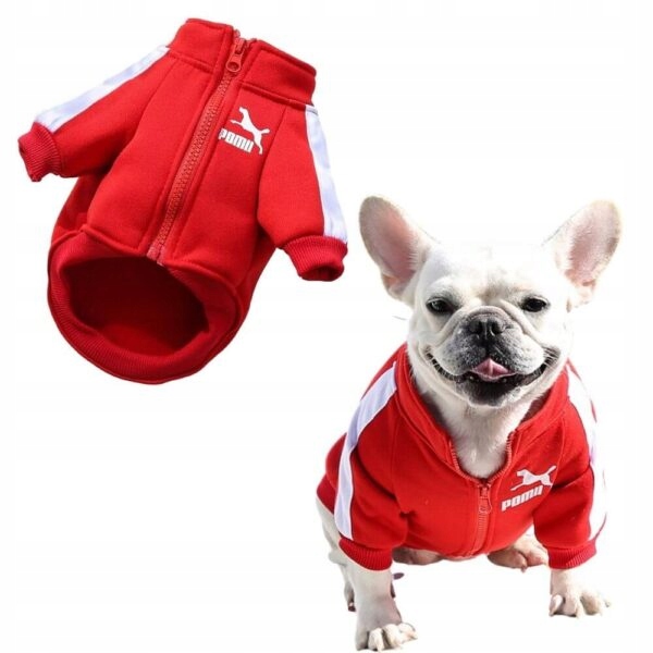 Modna dresowa bluza dla psa POMA Czerwony XL