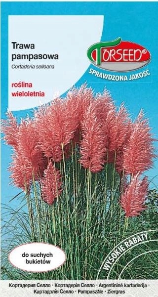 Nasiona Trawa Pampasowa Różowa 0,1g Cortaderia sel