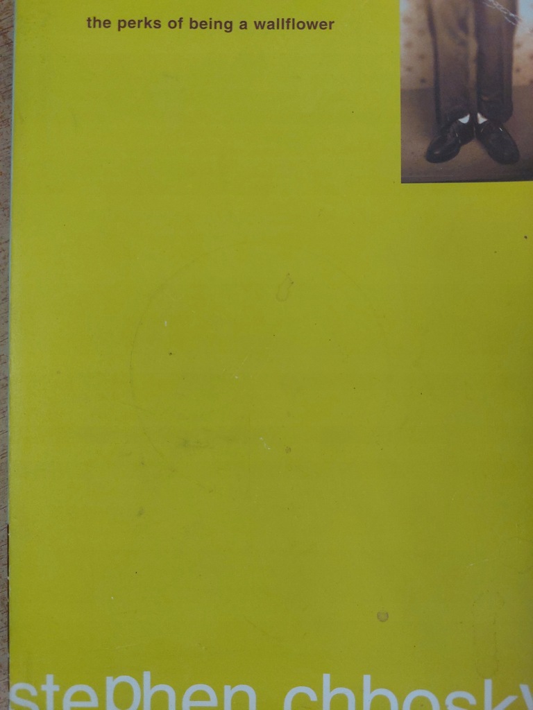 Stephen Chbosky - The perks of being a wallflower