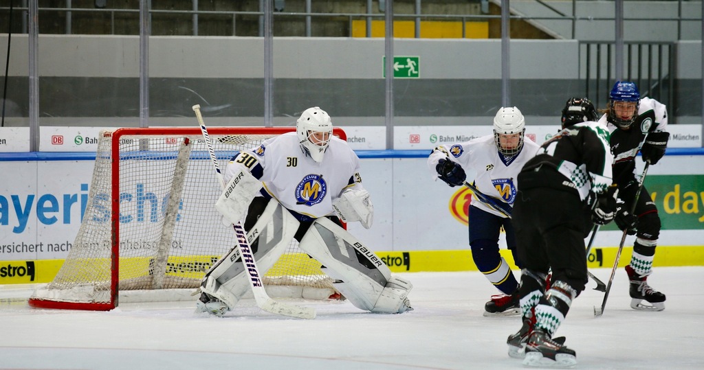 hokejnalodzie.pl Domena Hokej Sport