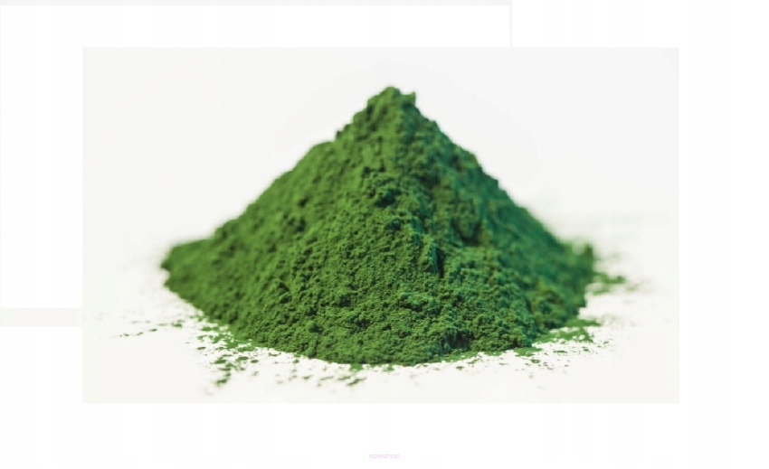 NAJLEPSZE ALGI MORSKIE: CHLORELLA W PROSZKU 500 G