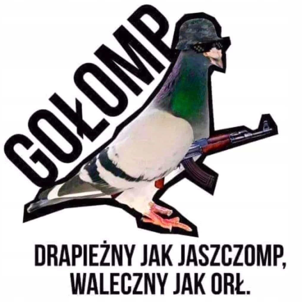 Gołomp fejkowy - nieprawdziwy