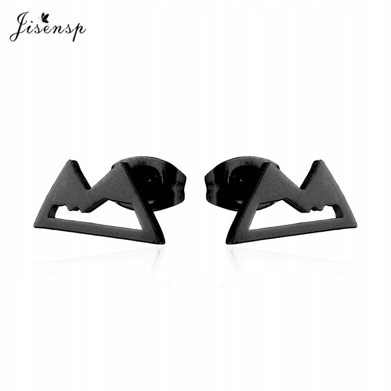 Fashion Stainless Steel Geometric Earrings Bl