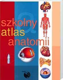 Szkolny atlas anatomii dla studenta i ucznia stan