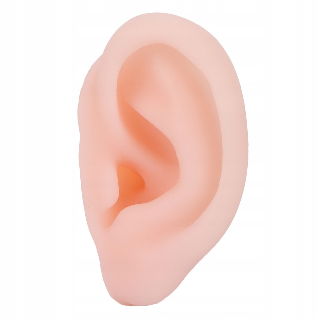Symulacja modelu ucha silikonowego Wielofunkcyjne