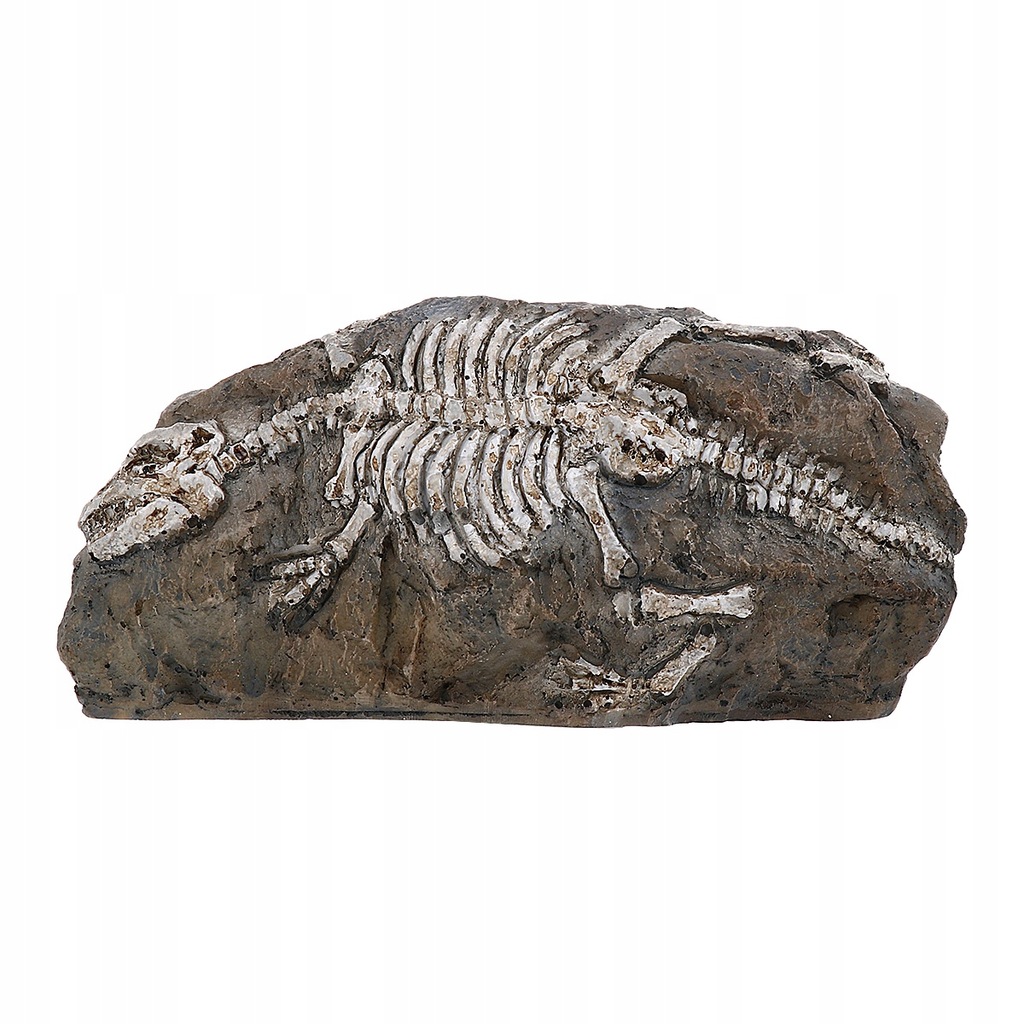 1 szt Dinozaur Fossil Ornament Akwarium Żywica Dek
