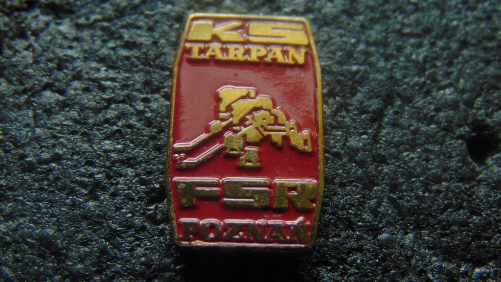 TARPAN POZNAŃ