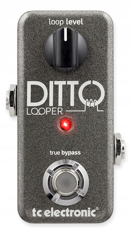 TC Electronic Ditto Looper Najlepszy w tej klasie!