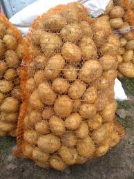 Ziemniaki 15 kg Denar najlepsze młode 2023 100% PL