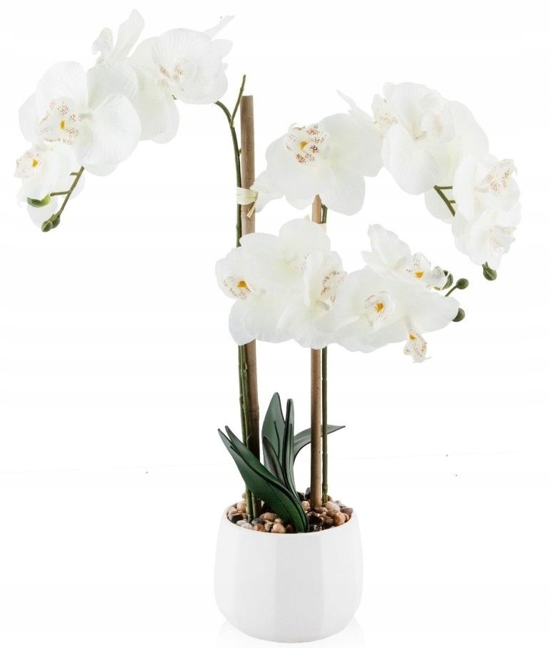 Home&you storczyk kwiat stroik ORCHITICO - 7818090206 - oficjalne ...