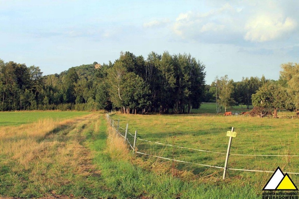 Działka, Proszówka, Gryfów Śląski (gm.), 1415 m²