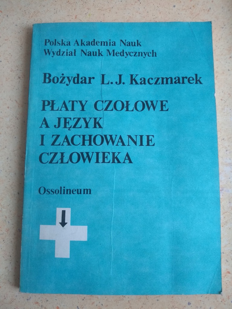 Płaty czołowe a język i zachowanie , Kaczmarek