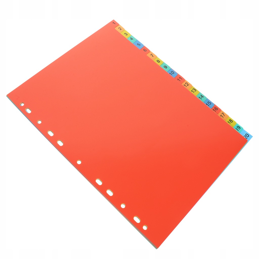 Tag Binder Dividers Plastic Folder 20 Sheets