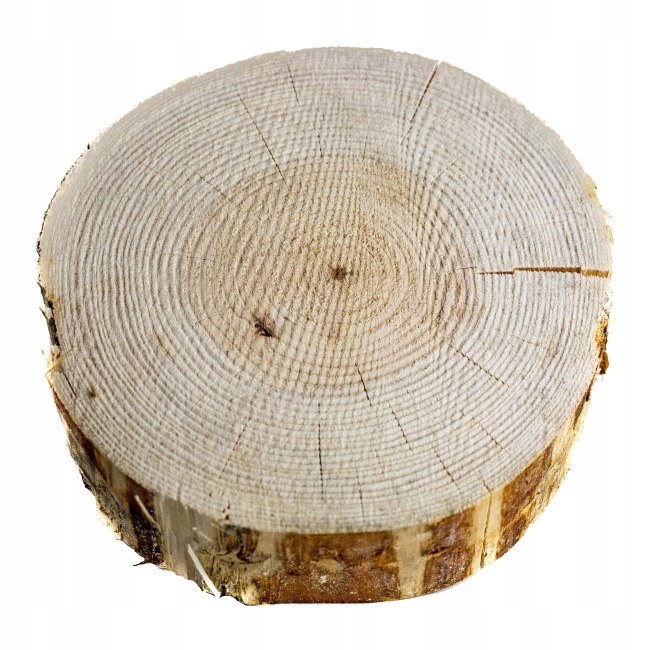 Krążek drewniany Floorpol śr. 100-200 mm gr. 35