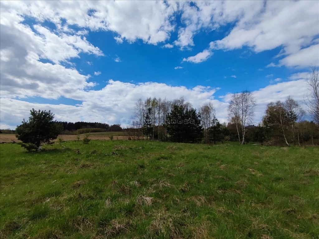 Działka, Nowy Dwór Wejherowski, 4981 m²