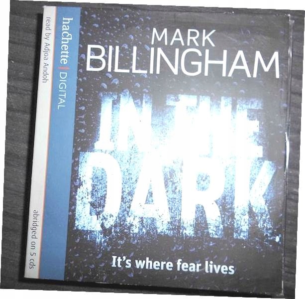 In the dark - Mark Billingham