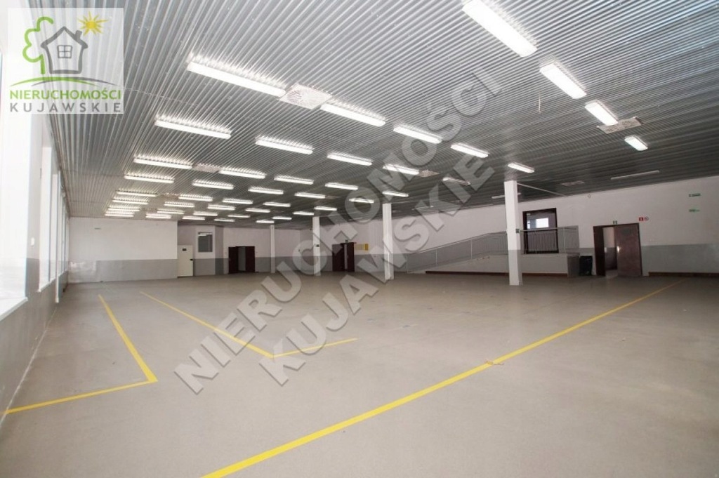 Komercyjne, Włocławek, 781 m²