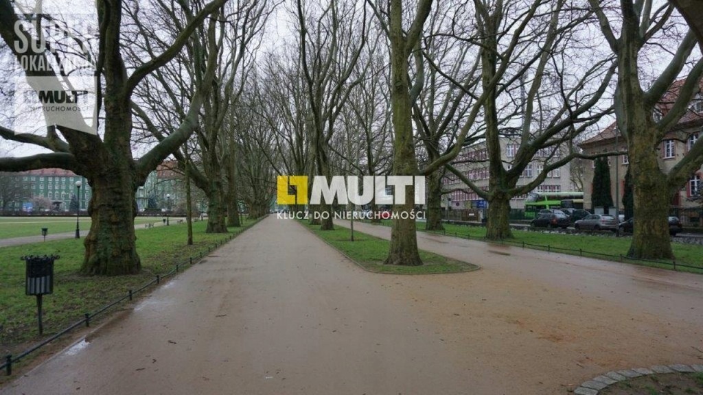 Biuro, Szczecin, 100 m²