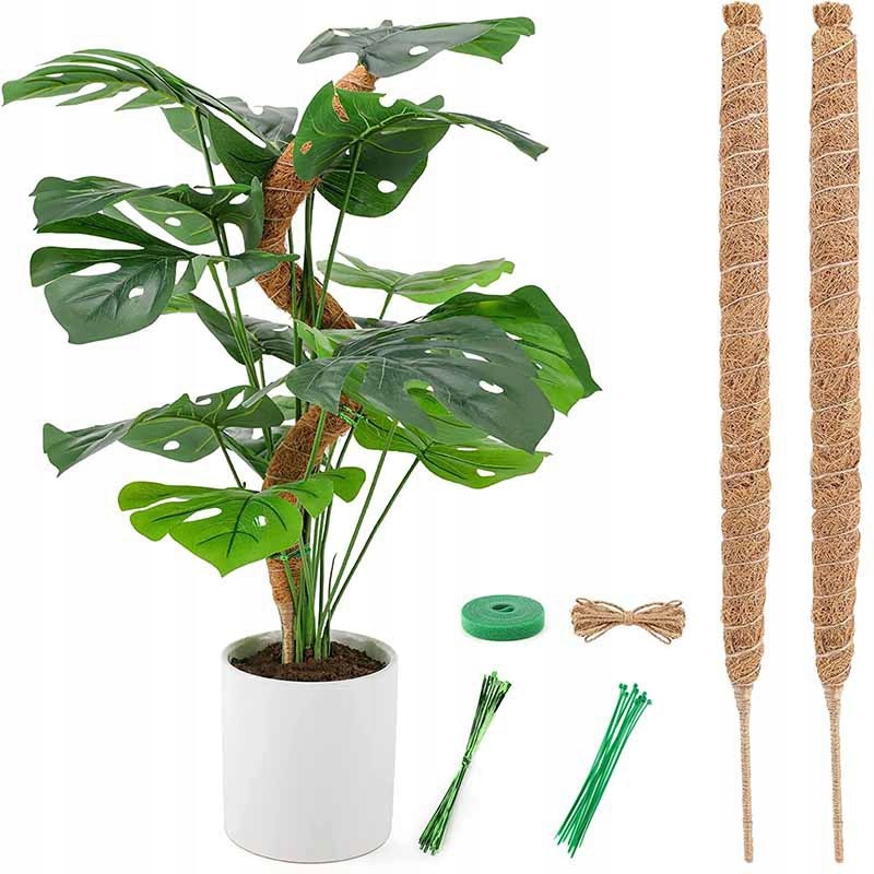 Podpórki do roślin 64 cm 2 szt.
