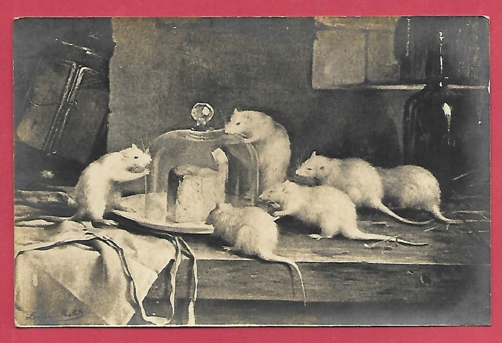 Mysz myszy szczur humor stara pocztówka harce