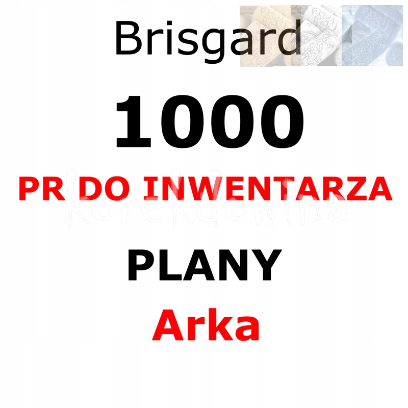 B 1000PR + PLANY ARKA Brisgard