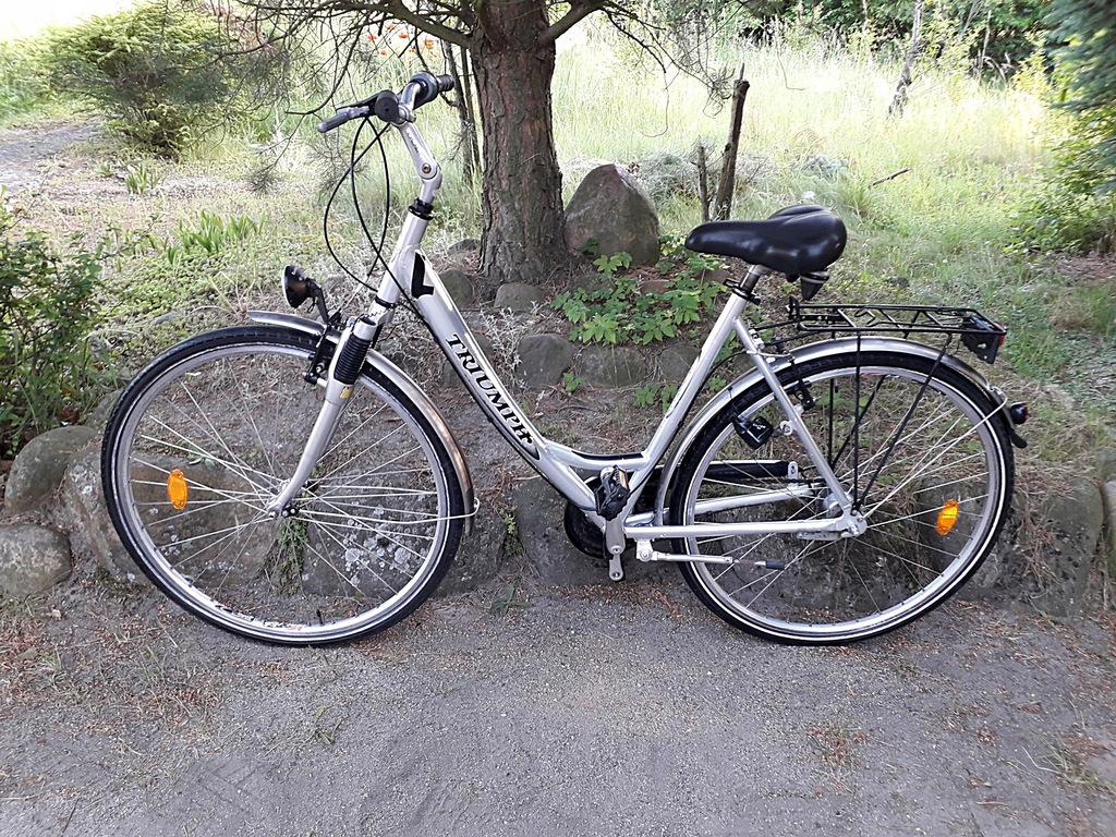 Alu Rower Miejski Damski Łabędź Niska Rama 28 12244723045 oficjalne