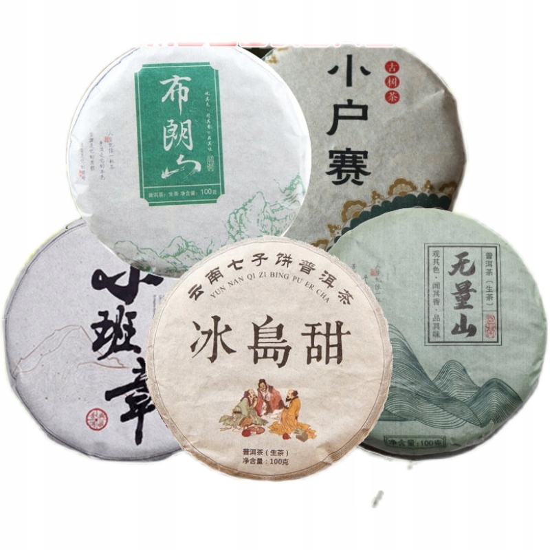 TEA Planet - Puer Sheng zestaw prezent - 5x 100 g.