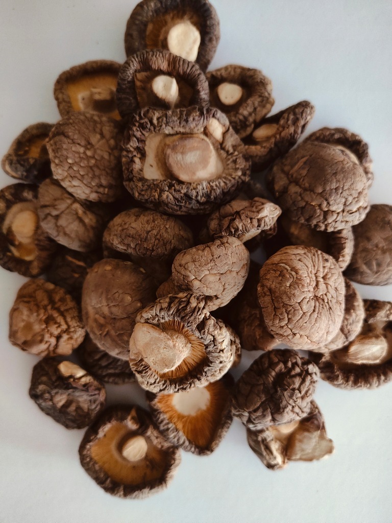 TWARDNIK JAPOŃSKI – SHIITAKE (cały, suszony) - 100g