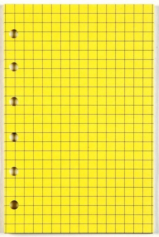 WKŁAD DO ORGANIZERA A5/KRATKA ŻÓŁTA ANTRA, ANTRA