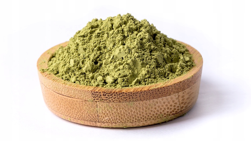 MATCHA herbata zielona gastronomiczna PREMIUM 1KG