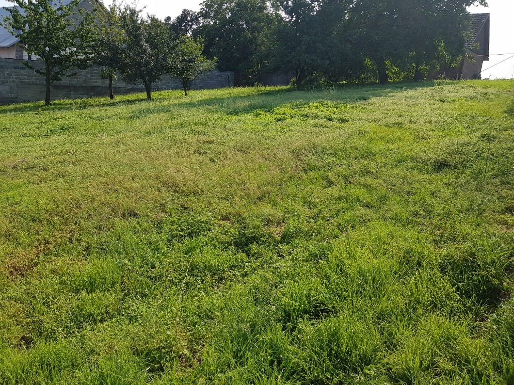 Działka budowlana 8 arów Dojazdów