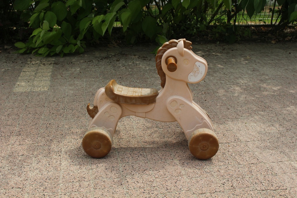 Konik jeździk