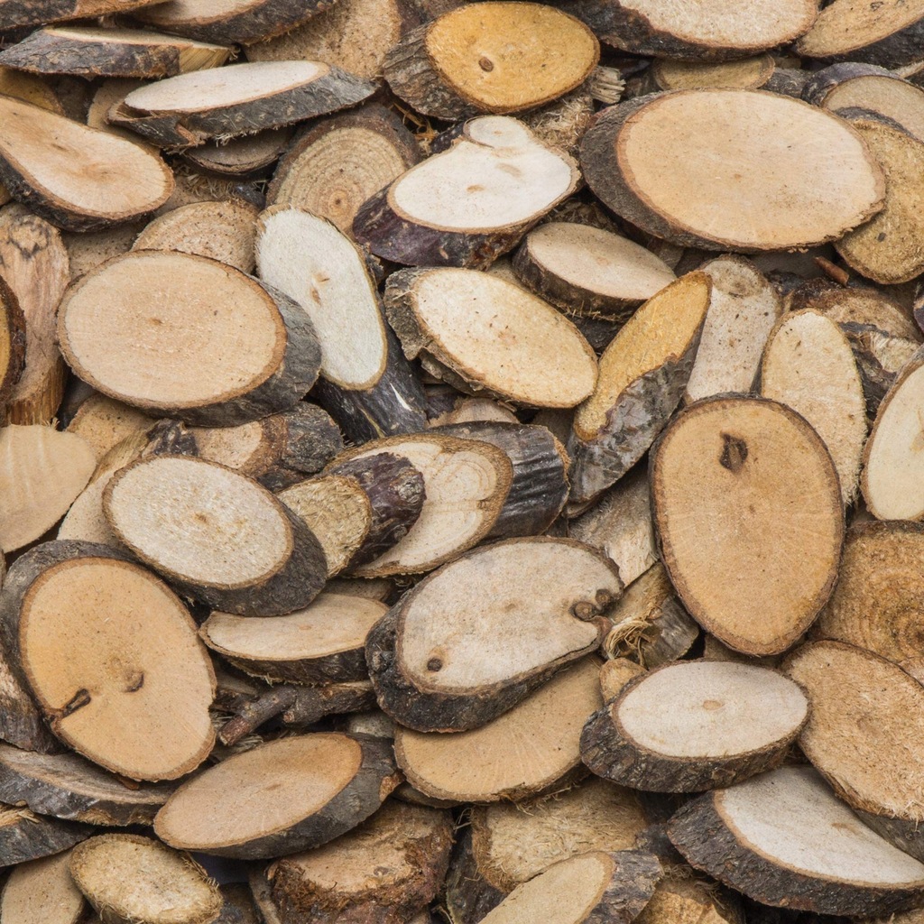 Baker Ross AF918 plastry krążki z drewna 13827376844 oficjalne