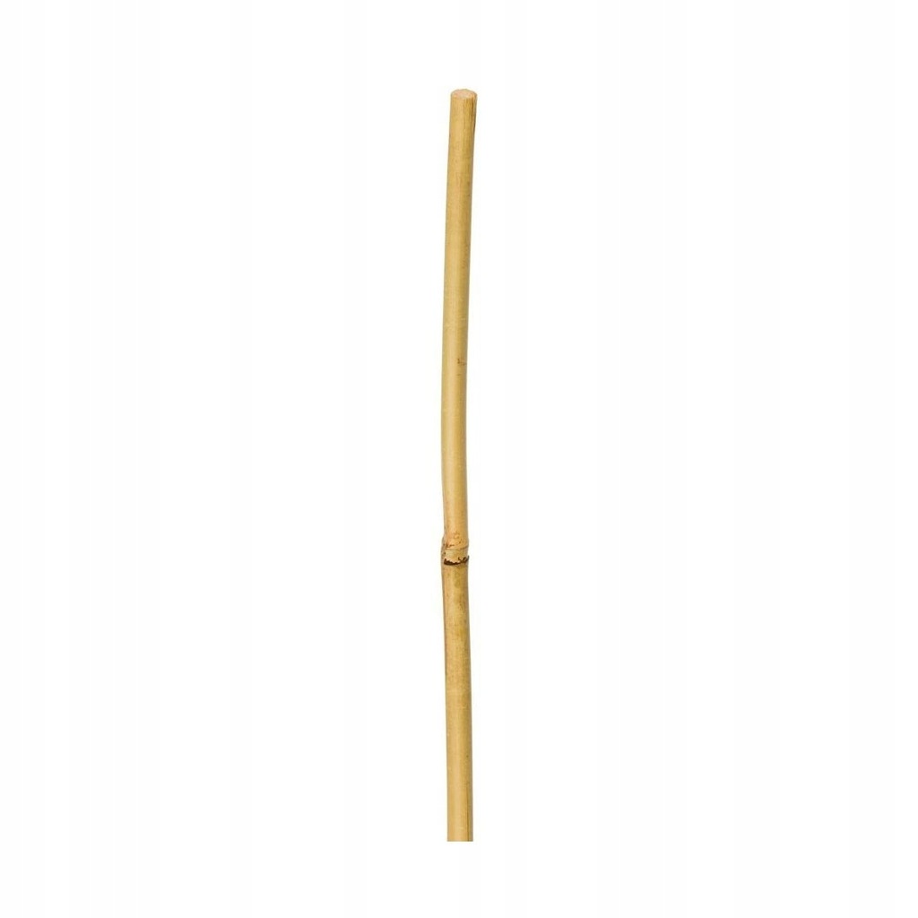 Tyczka bambusowa 120 cm x 12/14 mm Rim Kowalczyk