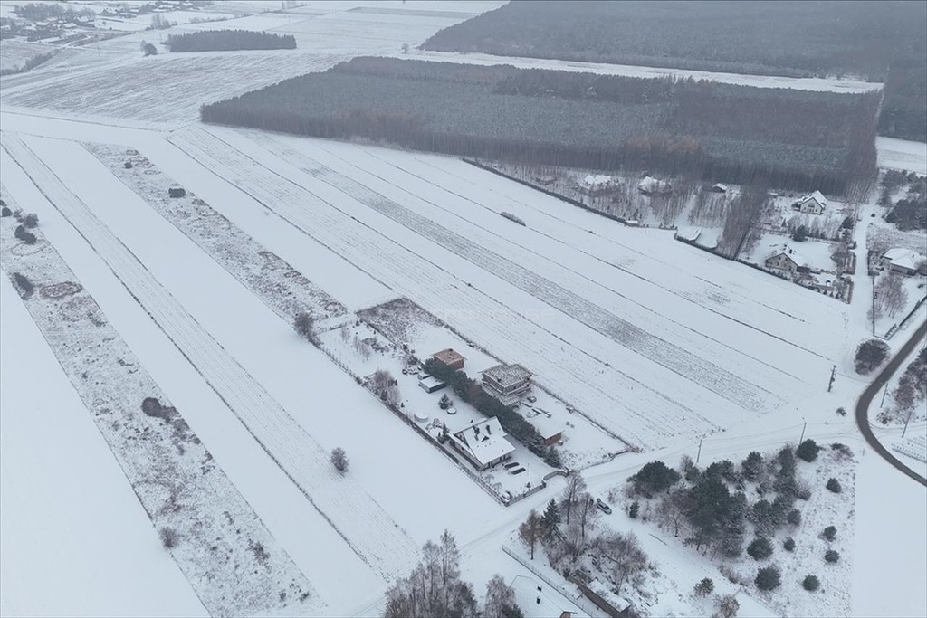 Działka, Budy Trzcińskie, 600 m²