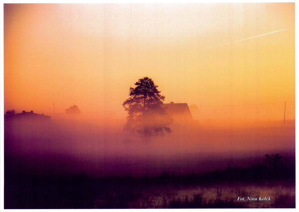 Fotografia "Mgły o świcie II"- Nina Kołek