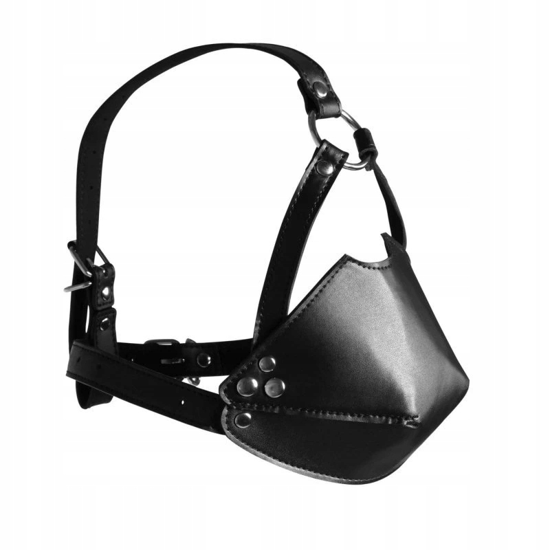 Head Harness with Mouth Cover and Solid Ball Gag