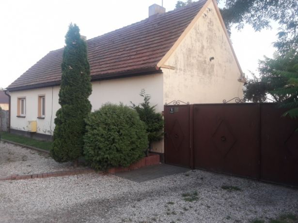 DOM NA WSI Z DUŻYM OGRODEM okolice Pępowa