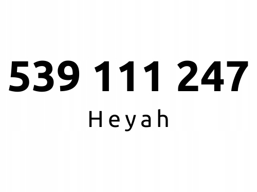 539-111-247 | Starter Heyah (11 12 47) #B