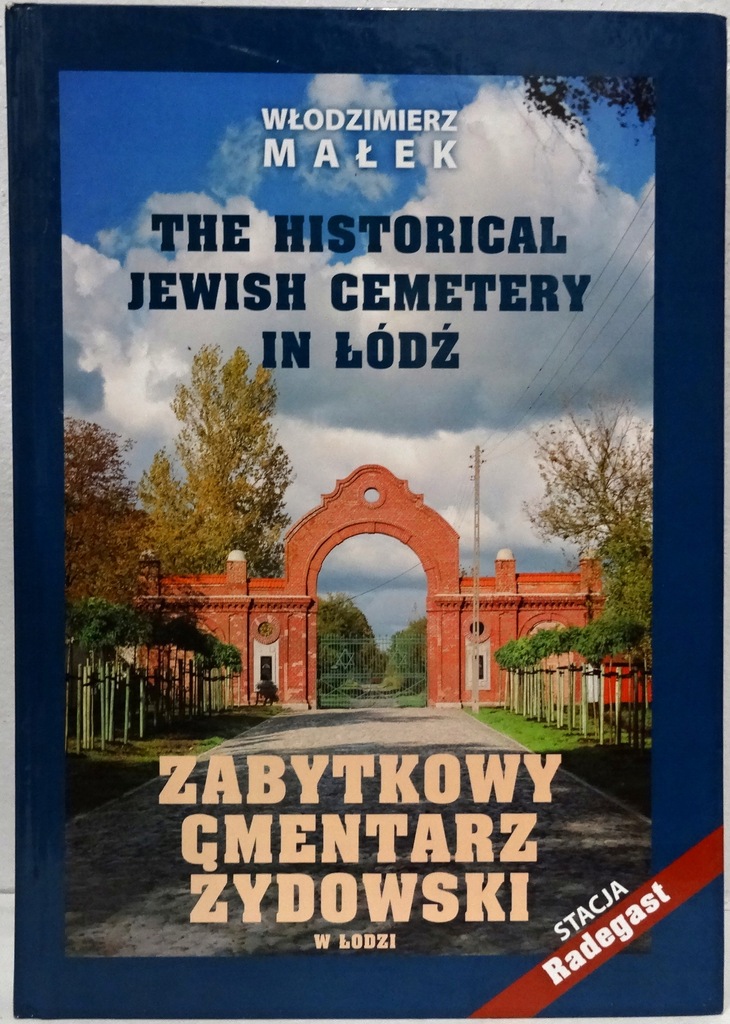 Zabytkowy cmentarz żydowski w Łodzi Małek fotografia