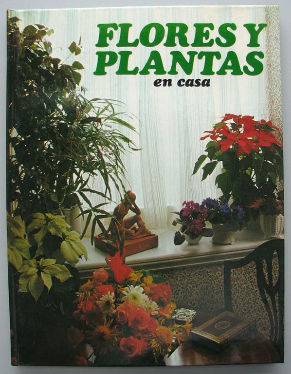 FLORES Y PLANTAS en casa - w języku hiszpańskim