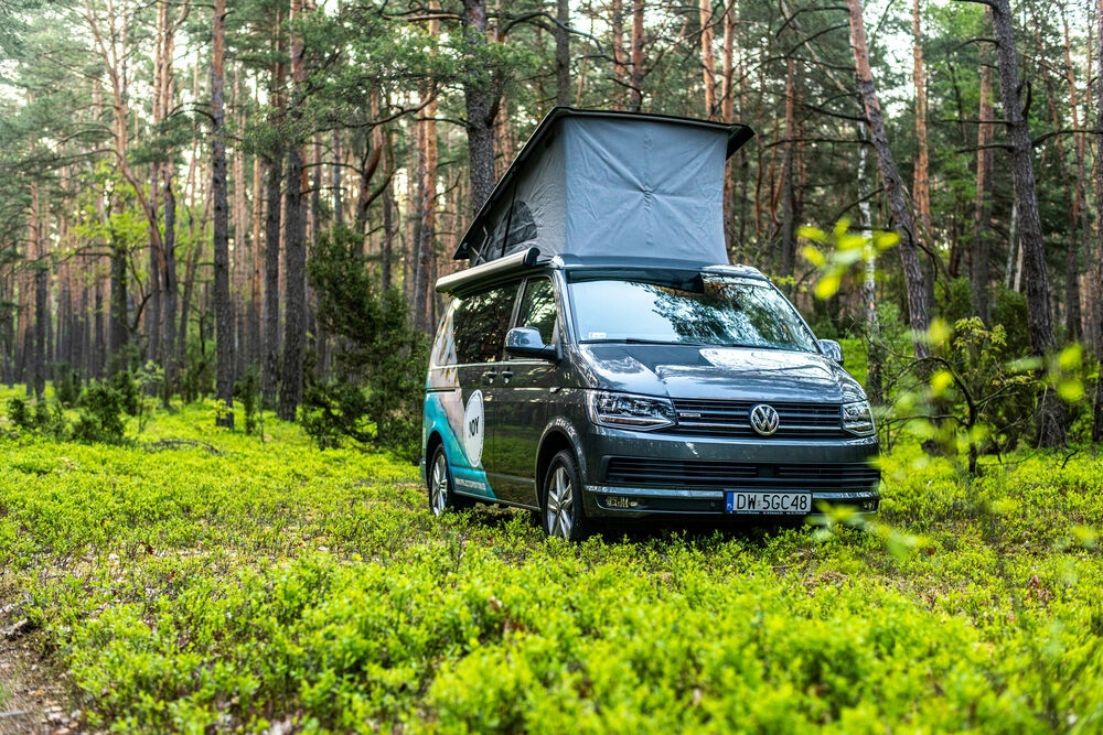 Купить Аренда автобуса VW California с функцией сна: отзывы, фото, характеристики в интерне-магазине Aredi.ru